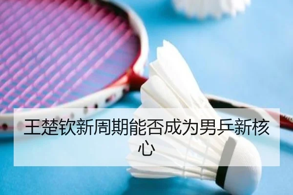 王楚钦新周期能否成为男乒新核心
